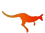 kangaroo Gif