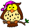 owl Gif