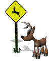 stag Gif
