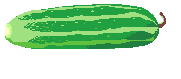 zucchini Gif